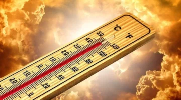 تحذير للمسافرين.. تقلبات جوية تضرب البلاد بارتفاع تدريجي للحرارة وظهور شبورة كثيفة